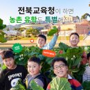 시산초등학교 | 농촌 유학 궁금증 Q&amp;A | 농촌 유학 학교 교사 | 농촌 유학 자녀 보내는 엄마의 찐 후기