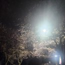 세븐일레븐 평택은혜로점