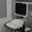 가나종합동물병원 네이버블로그