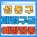 학교법인대진교육재단제인병원 | 서울 성동구 폐렴구균 백신 무료 예방접종 비용지원 가격 신청방법 대상자 간격 13가 15가 20가 23가