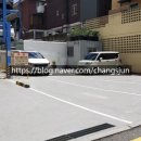 사임당로(2) 이미지