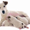 오션시티동물병원 이미지