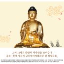 장성 꽃 화원 | 고려 14세기 중반, 1,100여 명의 발원자 정보가 담긴 복장유물을 품은 국보 「청양 장곡사 금동약사여래...