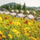 상하 현대목장 이미지