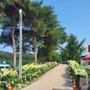 유구농산물판매장
