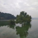 사시사철-풍요 이미지