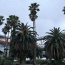 제주해나루 이미지