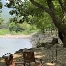 남창감나무집 | 광주 근교 계곡 물놀이, 계곡 피크닉 : 장성 남창 감나무집 농원