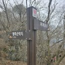 천마산~견두산~구례산수유축제 이미지