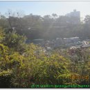 한마음새마을금고주유소 이미지