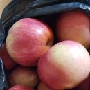 양명농장 이미지