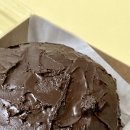 [주간일기] 2월 넷째 주
