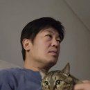 게티하우스