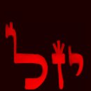 자인메드 이미지