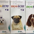 밝은우리약국 이미지