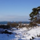 보령군천북면사호3리마을회관 | 샘뒤산(103m) 두루봉[1](117m) 봉화산[1](203m) 봉화산[2](202m) 두루봉[2](132m) 큰평산(172m) 작은...