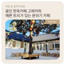 고메커피 - 북구 학남로 19 | 용인 고메커피 후기ㅣ동탄 근처 한옥 카페ㅣ겨울 트리와 바닐라라떼가 좋았던 곳