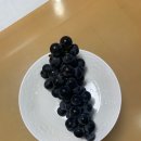 놀부 당구장 | [원주여행] 원주 오크밸리 리조트 이용시설 및 객실 솔직후기!
