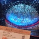 안(AHN) 소프트 | 2025 Feb_4 The Girl Who Laughs