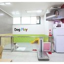 리버풀동물병원 이미지