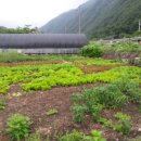 삼산휴게소 이미지