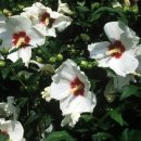 (주)우리생약 이미지