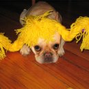 삐삐롱스타킹 이미지