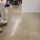 도그 앤 조이 이미지