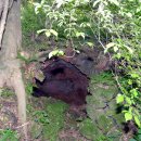 선흘리에 이미지