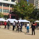 일산초등학교 이미지