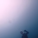 프리다이브올블루