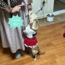 CU 대전문창점 | 대전용한점집 장군신당 나연보살