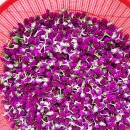 연우농장 이미지