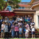 비단향꽃수 이미지