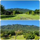 내장산 단풍생태공원 | 내장산 단풍 생태공원 방문 후기(2025.06.15)