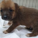 사랑종합동물병원 이미지