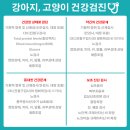 홈즈동물병원 네이버블로그