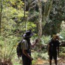 블루마운틴관광호텔 | 호주 시드니 블루마운틴 투어 하이킹 트레킹 현지가이드 한인투어 그랜드캐년 내돈내산 후기