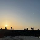 제주도 푸른밤 이미지