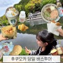 후쿠오카 당일 버스투어 부모님과 다녀온 내돈내산 후기 ( + 유후인 간식거리 추천 )