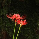 곰소농장 이미지