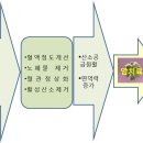 암을 자연치유하는 식품 이미지