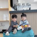 공룡풀빌라펜션 이미지