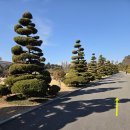 UN기념공원 좌측 이미지