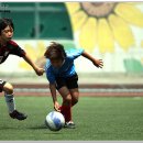 서울잠전초등학교 이미지