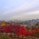 청운공원 Daum카페