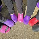 장항2리마을회관 이미지