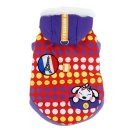 봉주르독 이미지