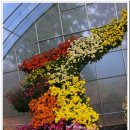 꽃보다 보세 이미지