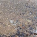 삼화당약국 이미지